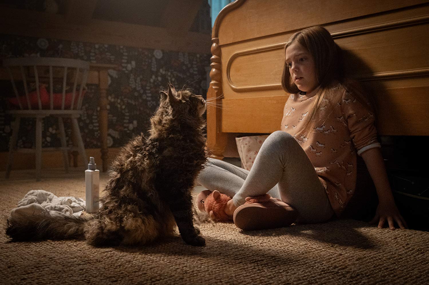 Jeté Laurence as Ellie Creed